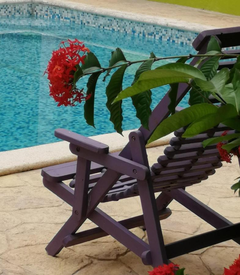 Margarita Del Sol Hotel Costa Maya マアウアル エクステリア 写真